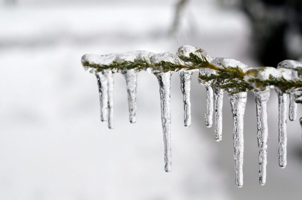 winter
